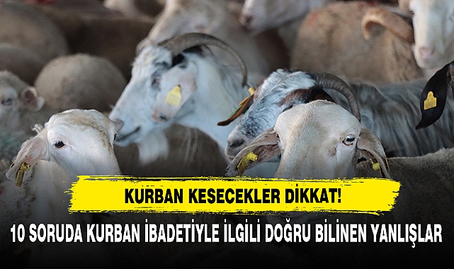 Kurban Kesecekler Dikkat: 10 Soruda Kurban İbadetiyle İlgili Doğru Bilinen Yanlışlar