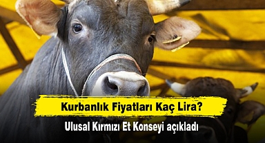 Kurbanlık Fiyatları Kaç Lira? Ulusal Kırmızı Et Konseyi açıkladı