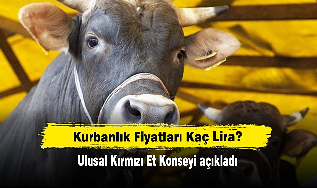 Kurbanlık Fiyatları Kaç Lira? Ulusal Kırmızı Et Konseyi açıkladı