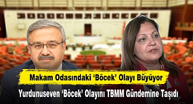 Makam Odasındaki ‘Böcek’ Olayı Büyüyor