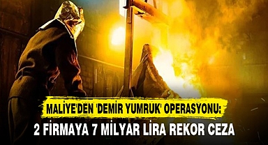 MALİYE'DEN 'DEMİR YUMRUK' OPERASYONU: