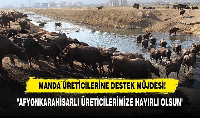 Manda Üreticilerine Destek Müjdesi!