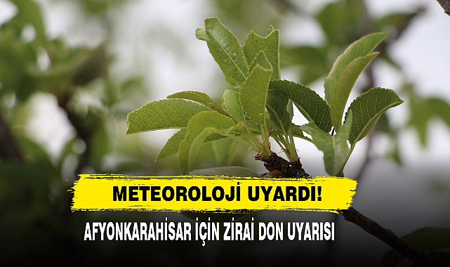 Meteoroloji Uyardı! Afyonkarahisar İçin Zirai Don Uyarısı