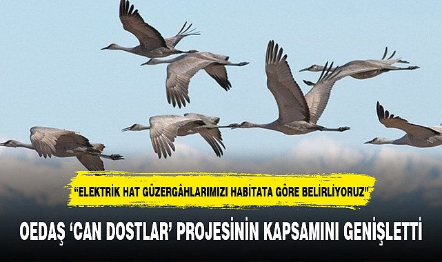 OEDAŞ ‘CAN DOSTLAR’ PROJESİNİN KAPSAMINI GENİŞLETTİ