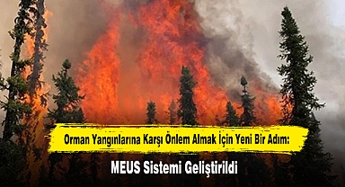 Orman Yangınlarına Karşı Önlem Almak İçin Yeni Bir Adım: MEUS Sistemi Geliştirildi