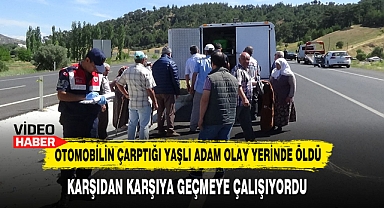 Otomobilin Çarptığı Yaşlı Adam Olay Yerinde Öldü