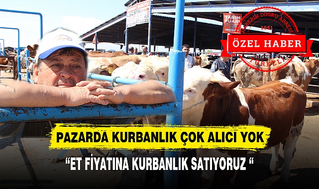 PAZARDA KURBANLIK ÇOK ALICI YOK
