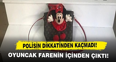Polisin dikkatinden kaçmadı! Oyuncak farenin içinden çıktı!