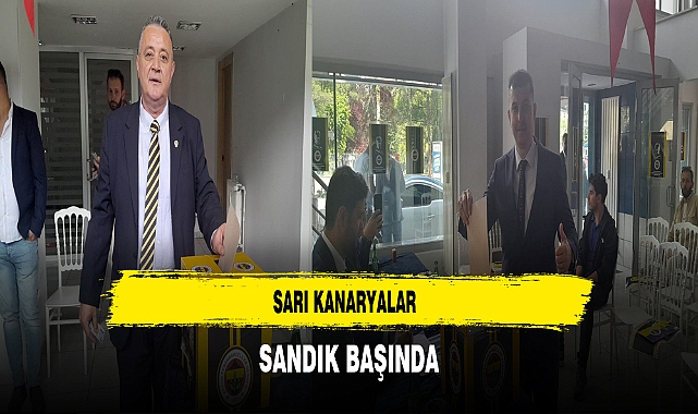 Sarı Kanaryalar Sandık Başında