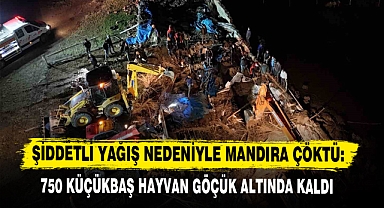 ŞİDDETLİ YAĞIŞ NEDENİYLE MANDIRA ÇÖKTÜ: