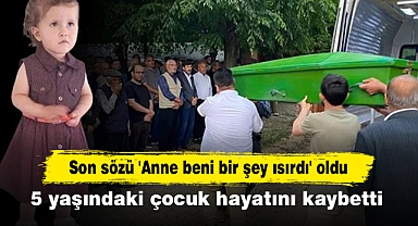 Son sözü 'Anne beni bir şey ısırdı' oldu! 5 yaşındaki çocuk hayatını kaybetti