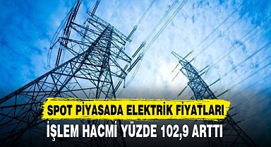 SPOT PİYASADA ELEKTRİK FİYATLARI