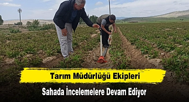 Tarım Müdürlüğü Ekipleri Sahada İncelemelere Devam Ediyor