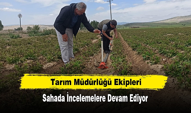 Tarım Müdürlüğü Ekipleri Sahada İncelemelere Devam Ediyor