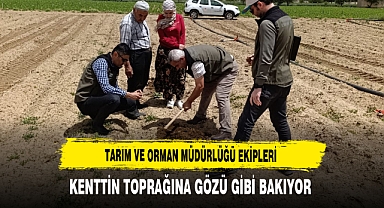 Tarım ve Orman Müdürlüğü Ekipleri Kenttin Toprağına Gözü Gibi Bakıyor