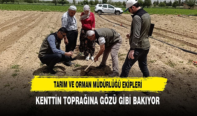 Tarım ve Orman Müdürlüğü Ekipleri Kenttin Toprağına Gözü Gibi Bakıyor