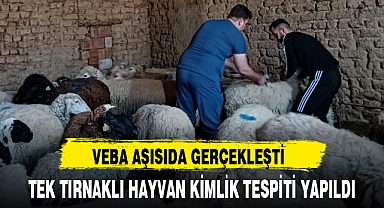 TEK TIRNAKLI HAYVAN KİMLİK TESPİTİ YAPILDI