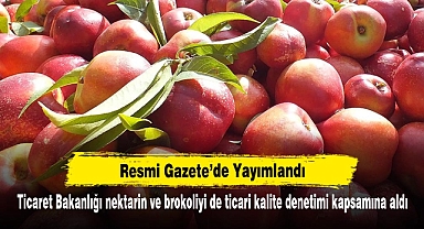 Ticaret Bakanlığı nektarin ve brokoliyi de ticari kalite denetimi kapsamına aldı