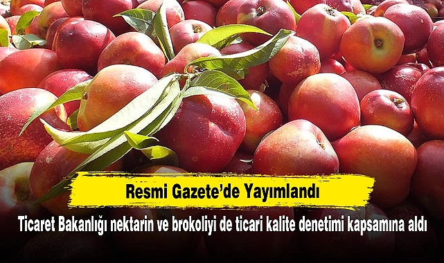Ticaret Bakanlığı nektarin ve brokoliyi de ticari kalite denetimi kapsamına aldı