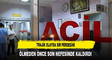Trajik Olayın Sır Perdesi: Ölmeden Önce Karnından Bıçaklanan Şahıs, Katilini Söyledi