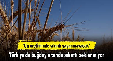 Türkiye'de buğday arzında sıkıntı beklenmiyor
