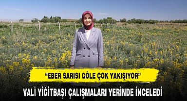 VALİ YİĞİTBAŞI ÇALIŞMALARI YERİNDE İNCELEDİ