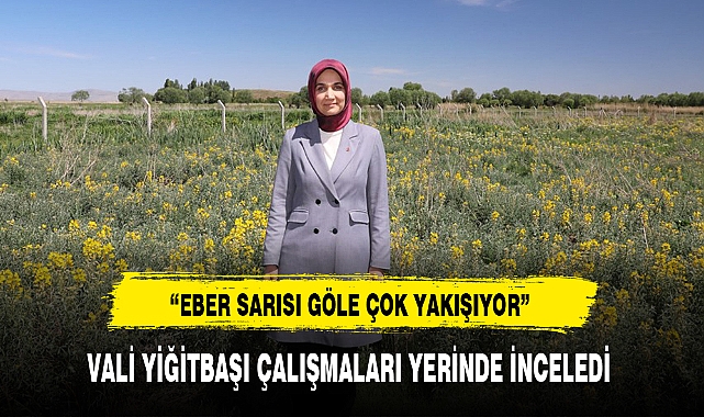 VALİ YİĞİTBAŞI ÇALIŞMALARI YERİNDE İNCELEDİ