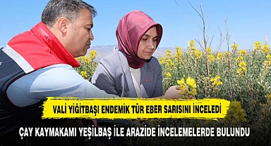 VALİ YİĞİTBAŞI EBER SARISINI İNCELEDİ