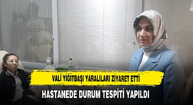 Vali Yiğitbaşı Yaralıları Ziyaret Etti