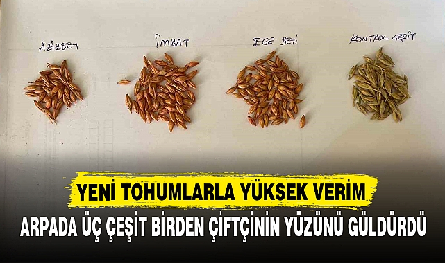 YENİ TOHUMLARLA YÜKSEK VERİM