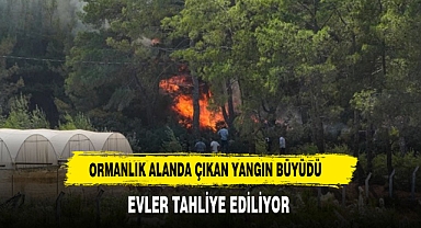 3 ilçede orman yangını! 1 mahalle tahliye edildi, kara yolu trafiğe kapatıldı