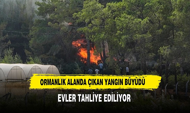 3 ilçede orman yangını! 1 mahalle tahliye edildi, kara yolu trafiğe kapatıldı