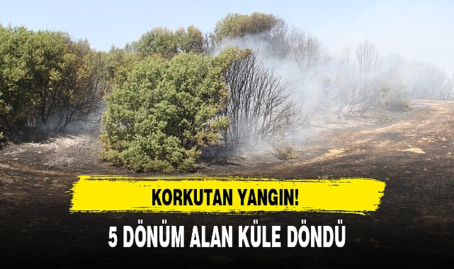 5 DÖNÜM ALAN KÜLE DÖNDÜ
