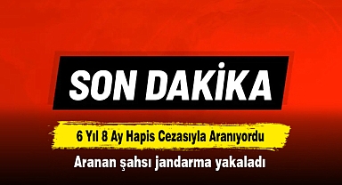 6 Yıl 8 Ay Hapis Cezasıyla Aranıyordu: Aranan şahsı jandarma yakaladı