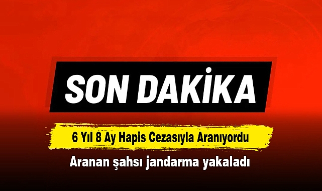 6 Yıl 8 Ay Hapis Cezasıyla Aranıyordu: Aranan şahsı jandarma yakaladı