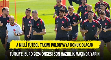 A Milli Futbol Takımı Polonya'ya Konuk Olacak