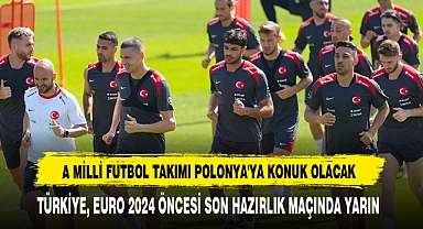 A Milli Futbol Takımı Polonya'ya Konuk Olacak