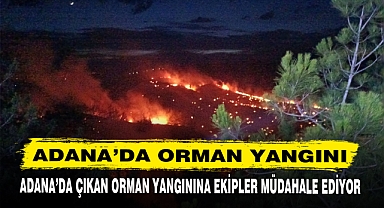 ADANA’DA ORMAN YANGINI