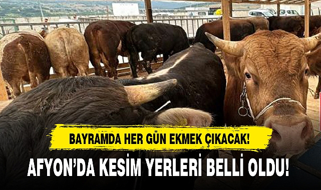 AFYON'DA KESİM YERLERİ BELLİ OLDU!