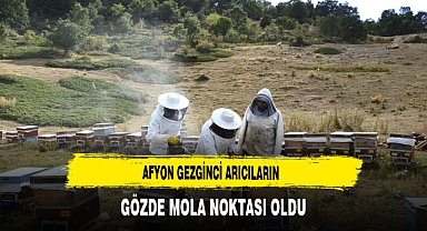 Afyon Gezginci Arıcıların Gözde Mola Noktası Oldu