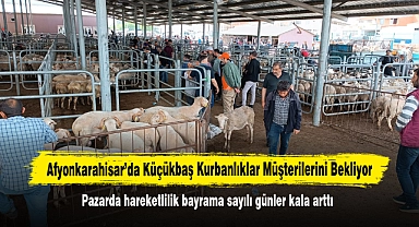 Afyonkarahisar'da Küçükbaş Kurbanlıklar Müşterilerini Bekliyor: Pazarda hareketlilik bayrama sayılı günler kala arttı