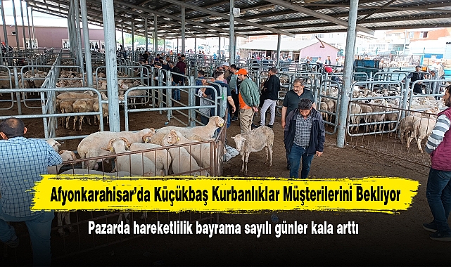 Afyonkarahisar'da Küçükbaş Kurbanlıklar Müşterilerini Bekliyor: Pazarda hareketlilik bayrama sayılı günler kala arttı