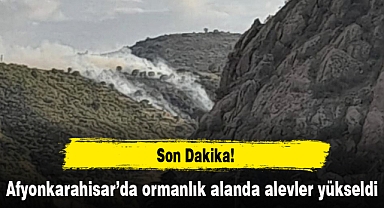 Afyonkarahisar’da ormanlık alanda yangın: Ekiplerin müdahalesi sürüyor