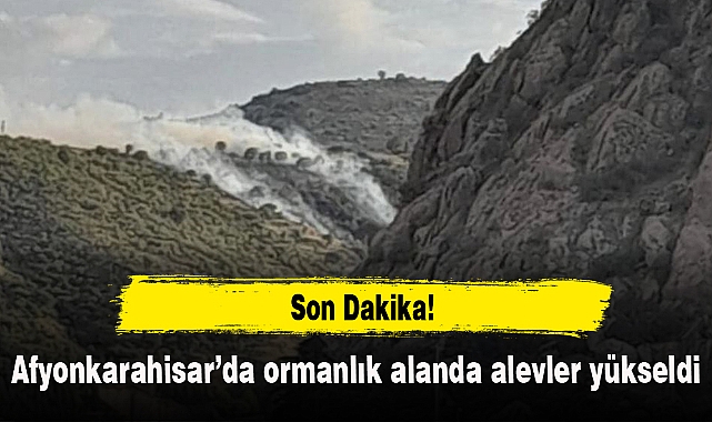 Afyonkarahisar’da ormanlık alanda yangın: Ekiplerin müdahalesi sürüyor