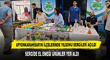 Afyonkarahisar'ın İlçelerinde Yılsonu Sergileri Açıldı
