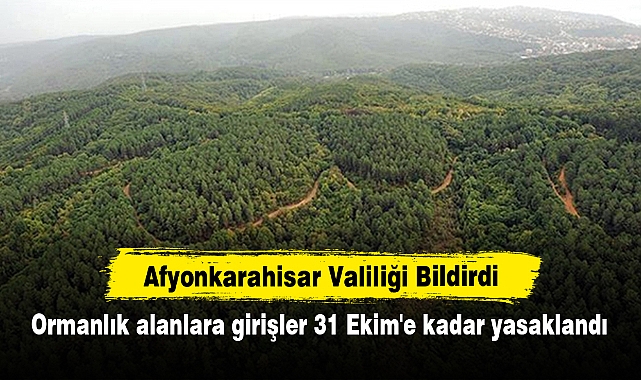 Afyonkarahisar Valiliği Bildirdi: Ormanlık alanlara girişler 31 Ekim'e kadar yasaklandı