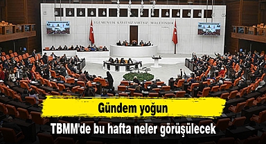 TBMM'de bu hafta neler görüşülecek