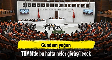 TBMM'de bu hafta neler görüşülecek