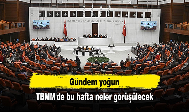 TBMM'de bu hafta neler görüşülecek