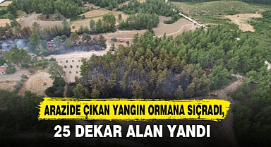 ARAZİDE ÇIKAN YANGIN ORMANA SIÇRADI,
